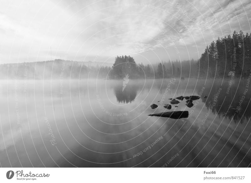 morgens in Schweden Luft Wasser Wolken Sommer Klima Klimawandel Nebel Pflanze Baum See Stein Holz bedrohlich dunkel kalt natürlich schwarz weiß schön ruhig