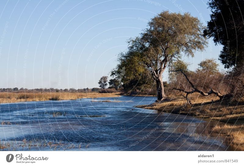 Fluss abwärts Natur Landschaft Erde Wasser Himmel Wolkenloser Himmel Sommer Schönes Wetter Pflanze Baum Gras Sträucher Flussufer Ferien & Urlaub & Reisen