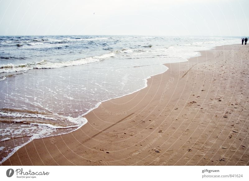 at the beach Umwelt Natur Landschaft Urelemente Sand Wasser Schönes Wetter Wellen Küste Strand gehen Strandspaziergang Spaziergang Ostsee Meer Gewässer