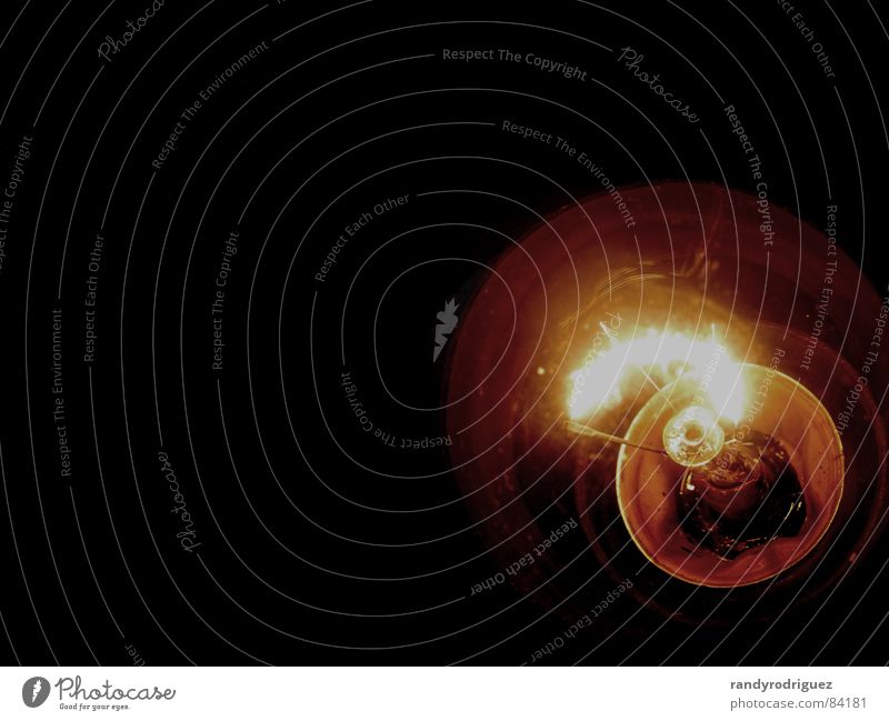 Spannung Glühbirne Elektrizität Licht dunkel schwarz grell glühen Draht Lampe heiß Physik Elektrisches Gerät Technik & Technologie Häusliches Leben Kontrast