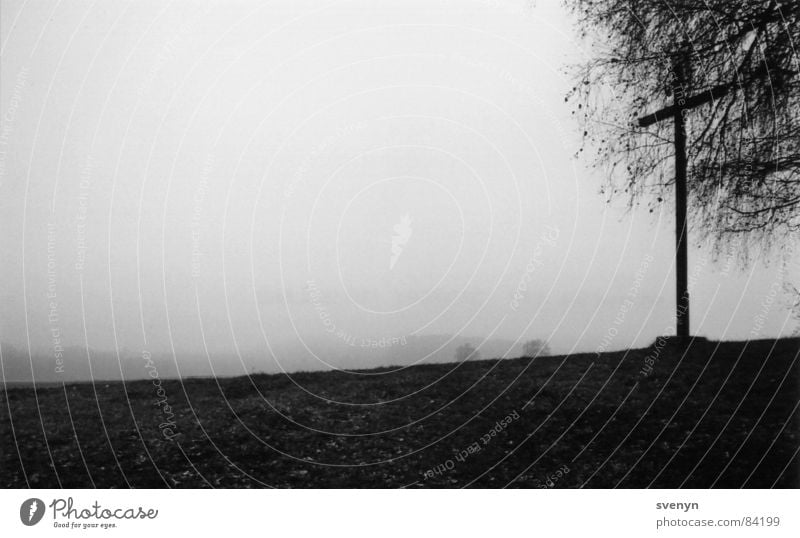 kreuzblick Nebel Hügel Baum Ferne Trauer Wiese dunkel Aussicht Nebelschleier Schleier ruhig Rücken Himmel Traurigkeit anhöhe Perspektive trübung Schwarzweißfoto