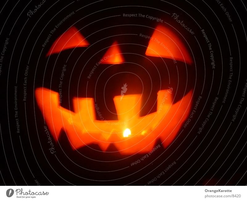 Halloween Kürbiskopf Licht Kerze Spuk Geister u. Gespenster gruselig gruseln