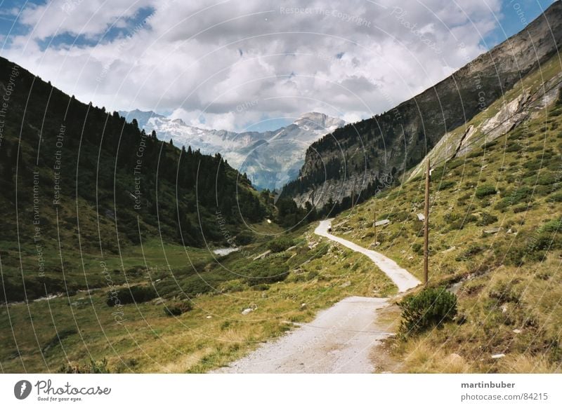 alpenland Steppe wohin grün-gelb Zillertal Wiese Gras Unendlichkeit Wolken schlechtes Wetter Wolkenhimmel Oliven dunkelgrün blau-grün falsch rustikal ruhig