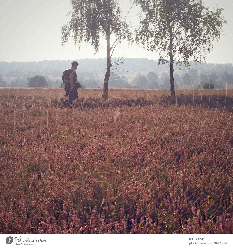 wo wir einst gingen 1 Mensch Natur Landschaft Sommer Herbst Baum Zeichen wandern Lebensfreude Geborgenheit Freundschaft Frieden Gelassenheit Gesundheit