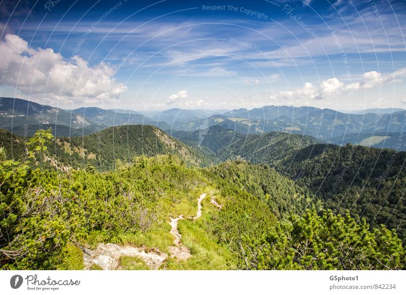 Der Weg in die Berge Natur Landschaft Himmel Wolken Horizont Sonnenlicht Sommer Schönes Wetter Berge u. Gebirge wandern Latschen Wald Bergkulisse Wasserklotz