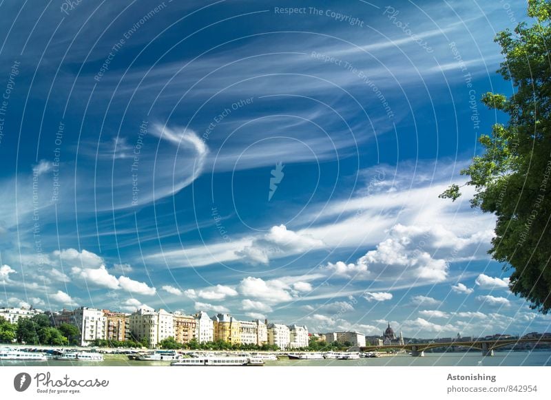 Wolken über Budapest Umwelt Natur Luft Himmel Horizont Sommer Wetter Schönes Wetter Pflanze Baum Fluss Ungarn Europa Stadt Hauptstadt Haus Brücke Bauwerk