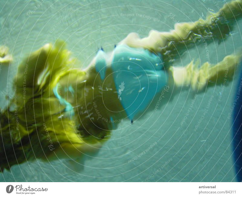 Unter Wasser 1 Schwimmbad Badeanzug tauchen türkis langhaarig Freizeit & Hobby Physik schön blau-grün Taucher Ferien & Urlaub & Reisen Mädchen zyan kobaltblau