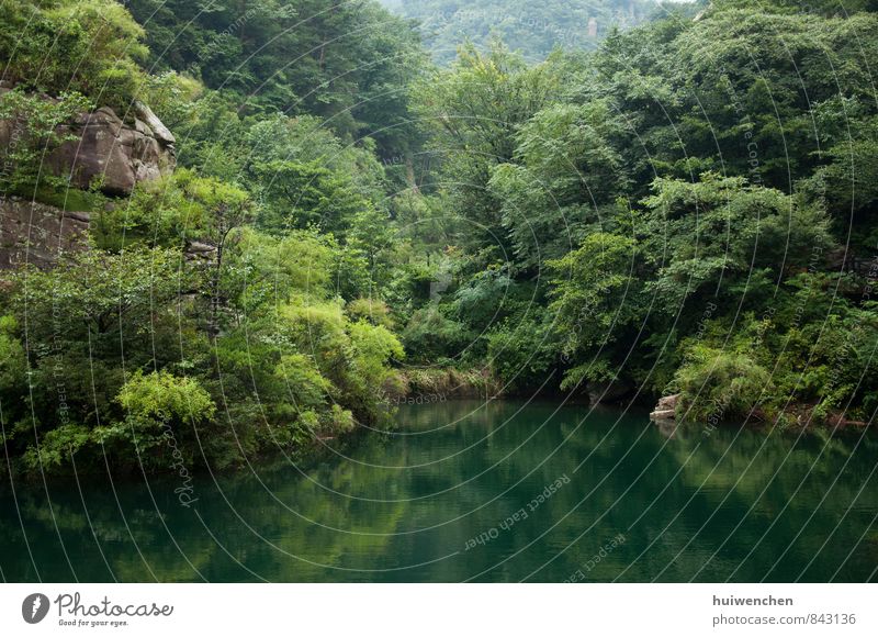 der See Natur Landschaft Pflanze Sommer Schönes Wetter Baum Blatt Wald Hügel Berge u. Gebirge ästhetisch grün Gelassenheit Ewigkeit Gerechtigkeit Farbfoto