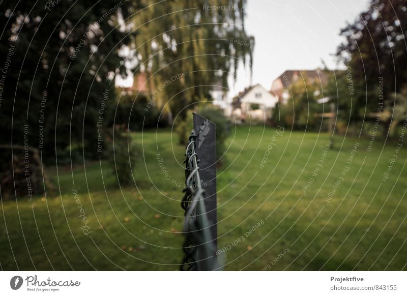 Gartenzaun Natur Landschaft Herbst Pflanze Baum Gras Sträucher Grünpflanze Wiese Metall grün Zaun Farbfoto Außenaufnahme Menschenleer Dämmerung Licht Schatten