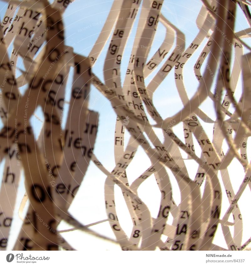 Buchstabensalat I zerkleinern schwarz Papier Streifen Perspektive Text Schnipsel weiß aufräumen zerstören Sicherheit Müll anonym Kommunizieren schmale streifen