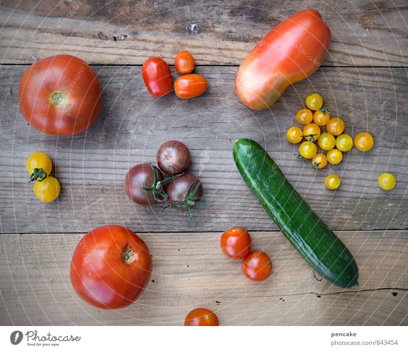 kost.bar | gartengold Lebensmittel Gemüse Salat Salatbeilage Frucht Italienische Küche Natur Sommer Herbst Dekoration & Verzierung Sammlung Zeichen Design Farbe