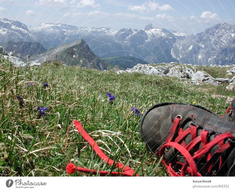 Weitsicht Enziangewächse Watzmann Jenner Berchtesgaden Sommer Wiese Wanderschuhe Stiefel Aussicht Ferne wandern Schuhe Pause Freizeit & Hobby Alm Nationalpark