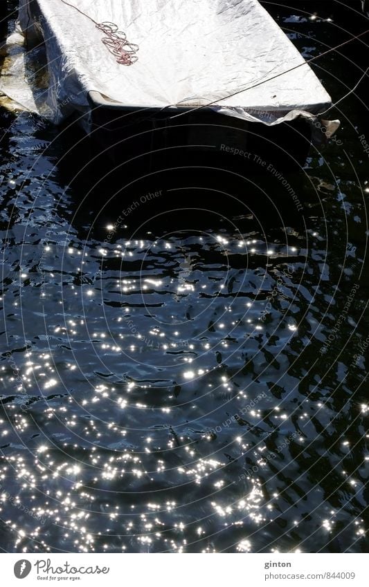 Ruderboot im glitzernden Wasser Natur Sonne Sonnenlicht Sommer Schönes Wetter Wellen Küste Seeufer Verkehr Verkehrsmittel Verkehrswege Schifffahrt