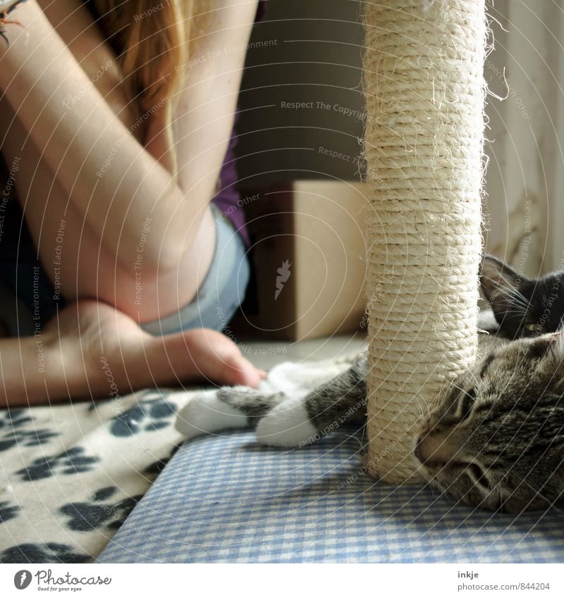 chill out zone Mädchen Junge Frau Jugendliche Kindheit Leben 1 Mensch Haustier Katze Tiergesicht 2 Tierjunges Erholung liegen schlafen kuschlig niedlich Gefühle