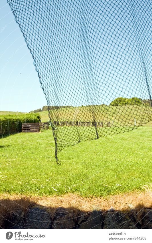 Pfarrwitwenhaus (hinten raus) Erholung Ferien & Urlaub & Reisen zicker Horizont Küste Mecklenburg-Vorpommern Landschaft Netz Fischernetz Gardine Gras Rasen