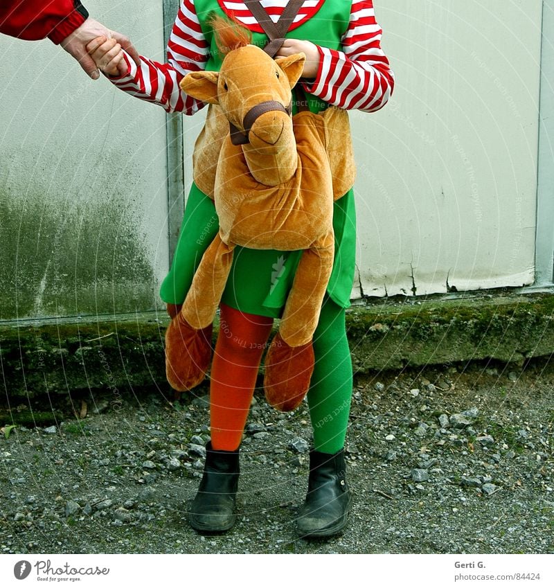 Pippilotta Viktualia Rollgardina Pfefferminza Entführung Kinderbuch Pippi Langstrumpf Hände schütteln grün Strumpfhose mehrfarbig Stiefel gestreift Hand Pferd