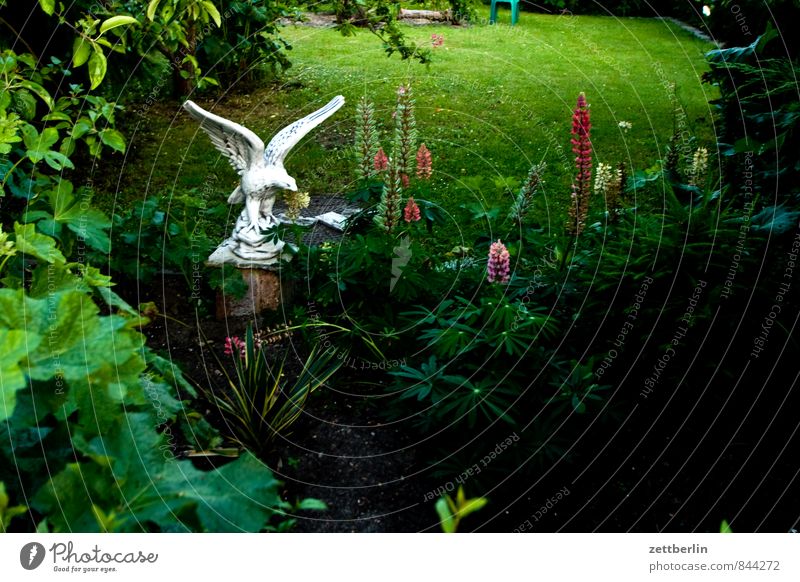 Gips Blume Blüte Garten Schrebergarten Kleingartenkolonie Natur Pflanze Sommer Skulptur Statue Adler Greifvogel Dekoration & Verzierung Kitsch Lupine Abend