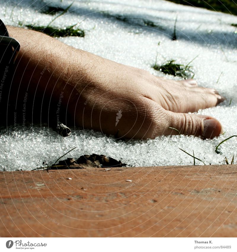 Ich weiß nicht mehr, wie es sich anfühlt... FCKW Winter Hand Gras Finger Daumen Halm Schneeschmelze Kohlendioxid Umwelt schmelzen Trauer Verzweiflung uhrband