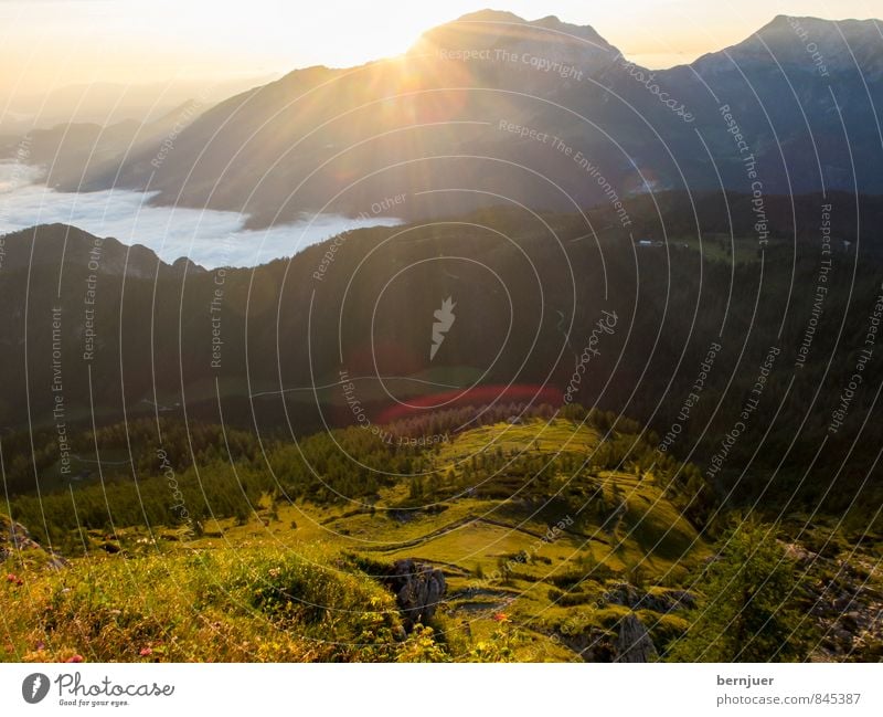 Sunrise, sunrise Natur Landschaft Himmel Sonne Sonnenaufgang Sonnenuntergang Sommer Schönes Wetter Alpen Berge u. Gebirge Gipfel schön authentisch Neugier Wiese