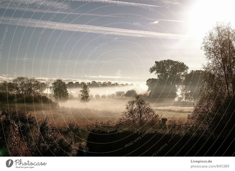 Blick von Mama´s Terrasse Umwelt Natur Landschaft Pflanze Himmel Wolken Sonne Sonnenaufgang Sonnenuntergang Sonnenlicht Herbst Nebel Baum Gras Sträucher