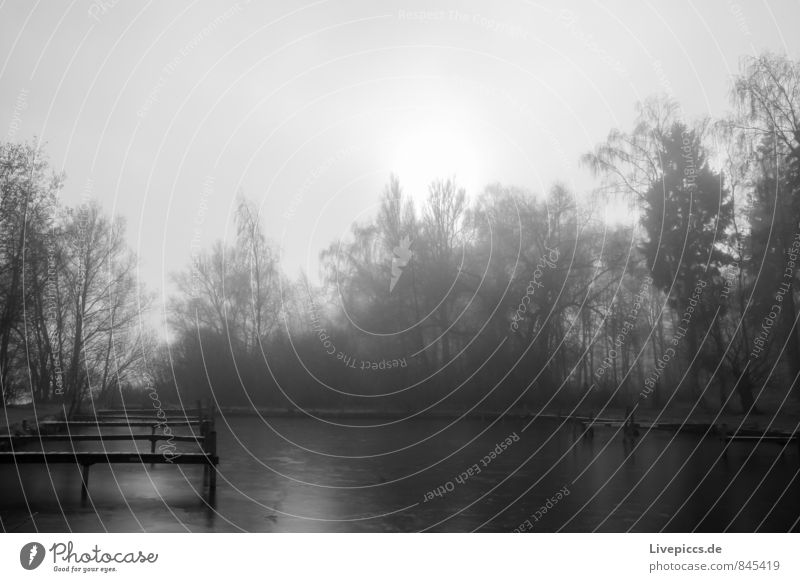 am Ufer der kleinen Müritz Umwelt Natur Landschaft Pflanze Wasser Himmel Sonne Sonnenaufgang Sonnenuntergang Sonnenlicht Herbst Nebel Baum Sträucher Seeufer