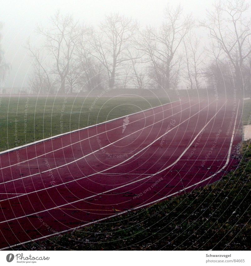 Nebelsprint 100 Meter Lauf Stadion rot grün Gras Joggen Einsamkeit Schleier Sportplatz Nebelschleier Platz Turnschuh Leichtathletik intransparent dubios laufen