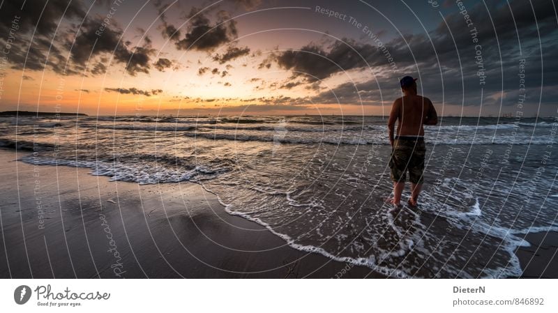 Am Meer Strand Landschaft Wasser Wolken Horizont Wellen Küste Ostsee Wärme gelb gold schwarz weiß Farbfoto Außenaufnahme Textfreiraum links Textfreiraum unten