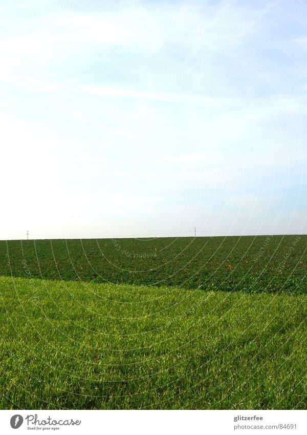 himmel auf erden Wiese Feld grün Frühling Fee Himmel Rasen anbauen Ernte Amerika