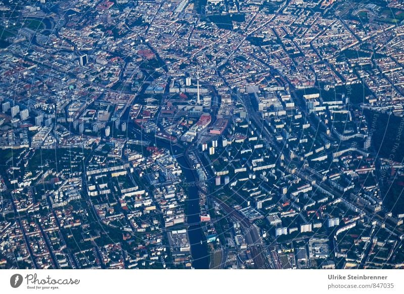 Kreuzweise | Quer Berlin Berliner Fernsehturm Berlin-Mitte Bundesadler Hauptstadt Stadtzentrum Wahrzeichen Verkehrswege Straße Wege & Pfade Luftverkehr