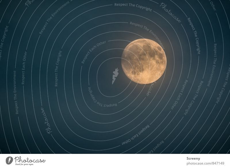 Keks Mond Vollmond Sommer leuchten groß hell rund Weltall Himmelskörper & Weltall Farbfoto Außenaufnahme Menschenleer Textfreiraum links Textfreiraum unten