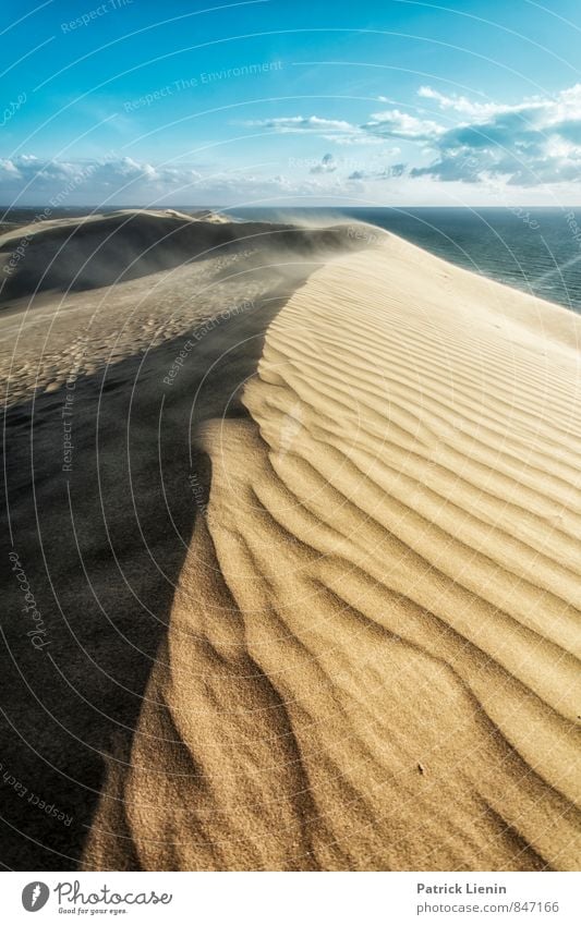 Rubjerg Wohlgefühl Zufriedenheit Sinnesorgane Erholung ruhig Ferien & Urlaub & Reisen Tourismus Ausflug Abenteuer Ferne Freiheit Umwelt Natur Urelemente Sand