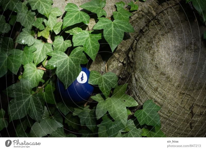 Alien im Unterholz Natur Pflanze Baum Efeu Zeichen dunkel unten blau braun grün Kunst Surrealismus verstecken Durchblick seltsam Gedeckte Farben