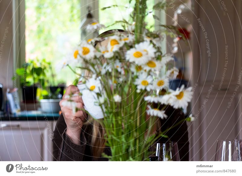 Leukantheme vulgare Kaffeetrinken Getränk Tee Tasse Wohlgefühl Erholung Sommer Küche feminin Frau Erwachsene Kopf Hand Finger 1 Mensch 30-45 Jahre Blume Fenster