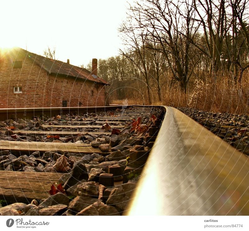 Nebengleis Nebenstrecke unökonomisch Gleise Umwelt Rost Recycling Sträucher Eisenbahn rostfrei Lebenslauf Wolken Wildnis Bahnhof Kurvenüberhöhung Kurveneigung