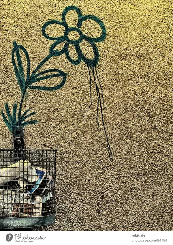 Hatschii II... Bahnunterführung Wachstum Müll Eimer Müllbehälter Papierkorb Korb Wand Bla Blume Stengel Blüte sprühen Löwenzahn rieseln Tagger Blühend