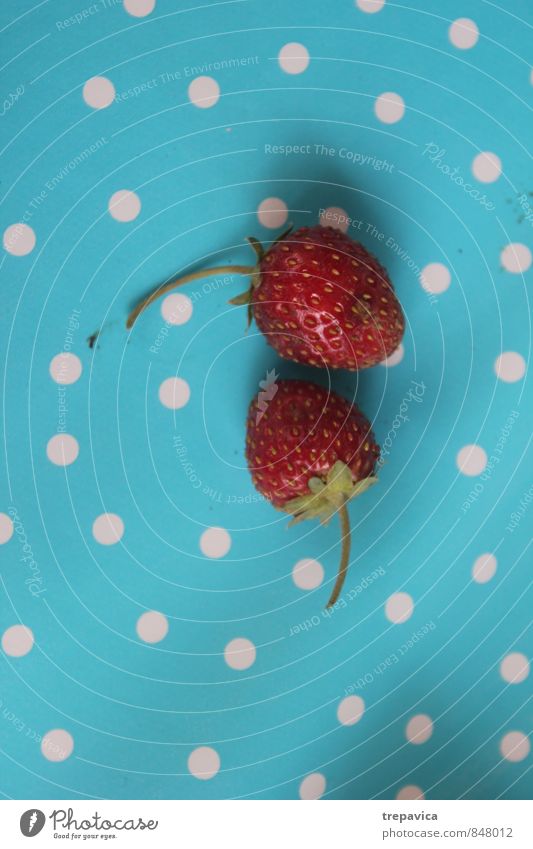 Erdbeeren Lebensmittel Frucht Ernährung Picknick Bioprodukte Vegetarische Ernährung Diät Lifestyle harmonisch Natur ästhetisch frisch Gesundheit klein lecker