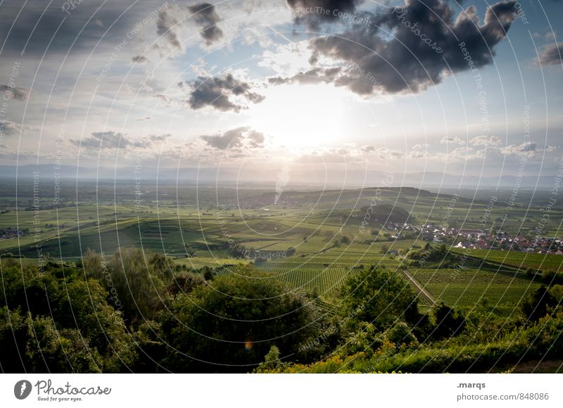 Badischer Wein Lifestyle Tourismus Ausflug Umwelt Natur Landschaft Himmel Wolken Horizont Sonne Herbst Schönes Wetter Weinberg Weinbau Feld Hügel natürlich