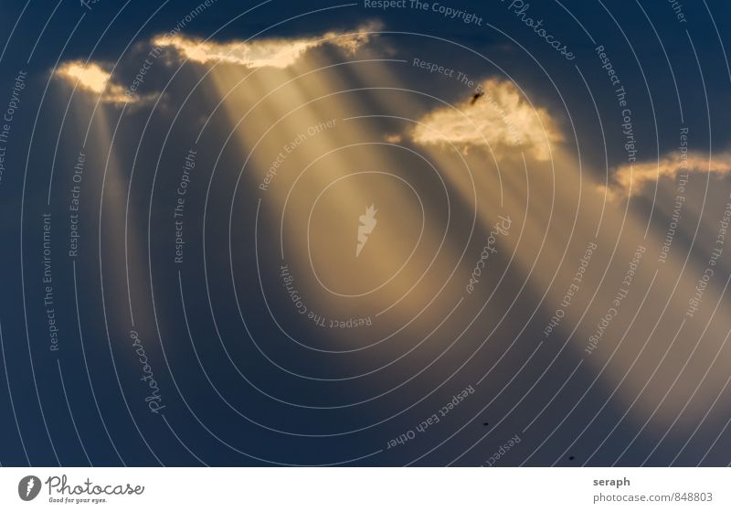 Himmelstor Himmel (Jenseits) Licht Lichtstrahl rein Reinheit Sonne Sonnenstrahlen Sonnenlicht himmlisch Paradies geheimnisvoll Religion & Glaube Wolken Natur