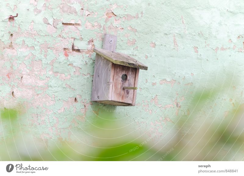 Nistkasten heimwärts Futterhäuschen Nestbau Kasten Kiste Tarnung züchten verwittert locked dwelling Golfloch ""slip hole"" Wand Backstein gemalt bemalt angemalt