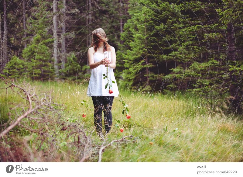 Vorbei Mensch feminin Junge Frau Jugendliche Erwachsene 1 Blume Gras Rose Wald Vase Blumenvase grün Wandel & Veränderung Zerstörung ausleeren rote Rose Farbfoto