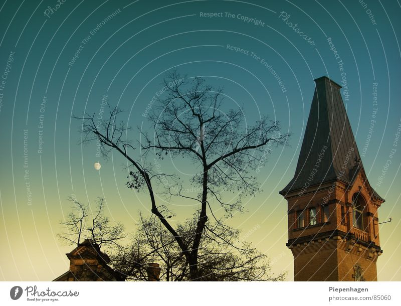 mit allice im wunderland Schönhauser Allee Sehnsucht Planet grün türkis Horizont Ferne Dach Fenster Teerpappe Backstein Haus Herbst kalt frisch ruhig schweigen