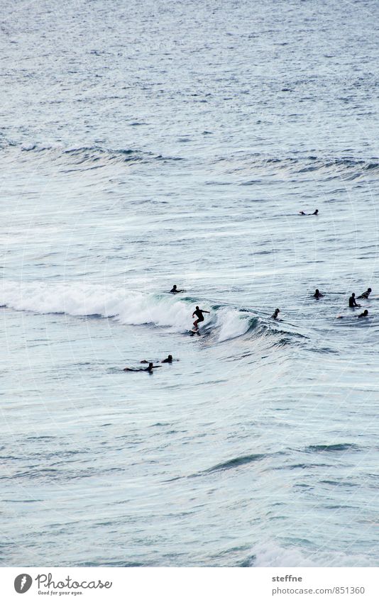 Surfin' USA Natur Wasser Sonnenaufgang Sonnenuntergang Schönes Wetter Wellen Meer Pazifik San Francisco Sport Surfen Surfer Farbfoto Außenaufnahme