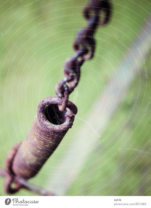 springend Garten Natur Gras Metall alt Schaukel Rost aussetzen Kette Rolle hängen Farbfoto Außenaufnahme Nahaufnahme Detailaufnahme Menschenleer