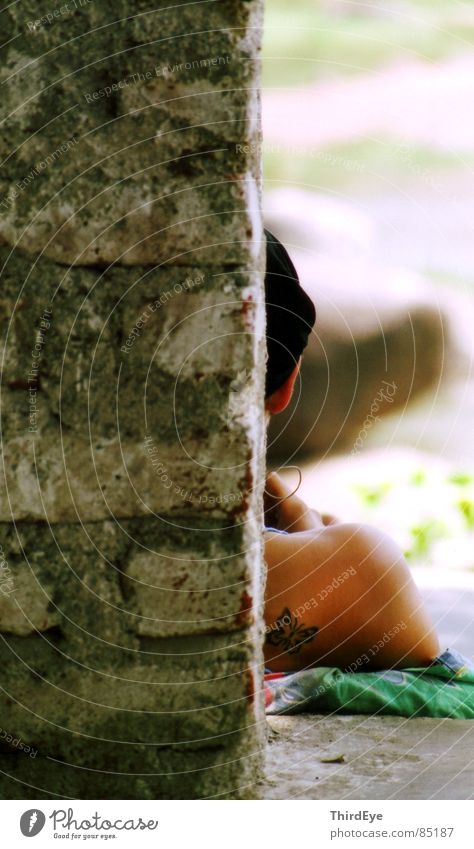 Papillon Mauer hart Backstein Schulter Physik Schmetterling ruhig Ferien & Urlaub & Reisen Pause Sommer Indien Asien Frau Kopfhörer Erholung Strukturen & Formen