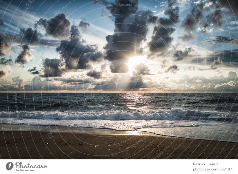 Strandtag III Wellness harmonisch Wohlgefühl Zufriedenheit Sinnesorgane Erholung ruhig Meditation Ferien & Urlaub & Reisen Tourismus Ausflug Abenteuer Ferne