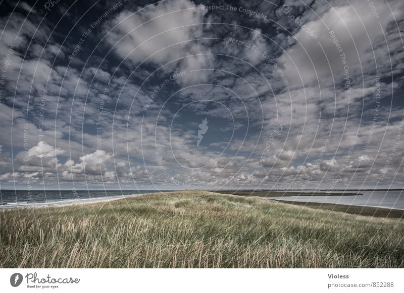 explore... Abenteuer Expedition Sommer Strand Meer Wellen Natur Landschaft Himmel Klima Schönes Wetter Küste Nordsee entdecken Erholung außergewöhnlich