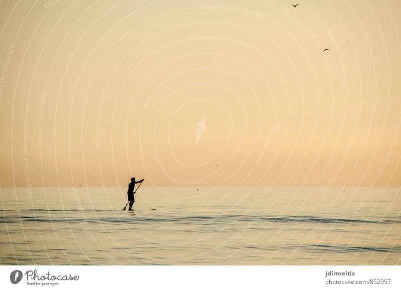 Stand-Up-Paddling Freizeit & Hobby Ferien & Urlaub & Reisen Freiheit Sommer Sommerurlaub Strand Meer Sport Fitness Sport-Training Wassersport Surfbrett Mensch