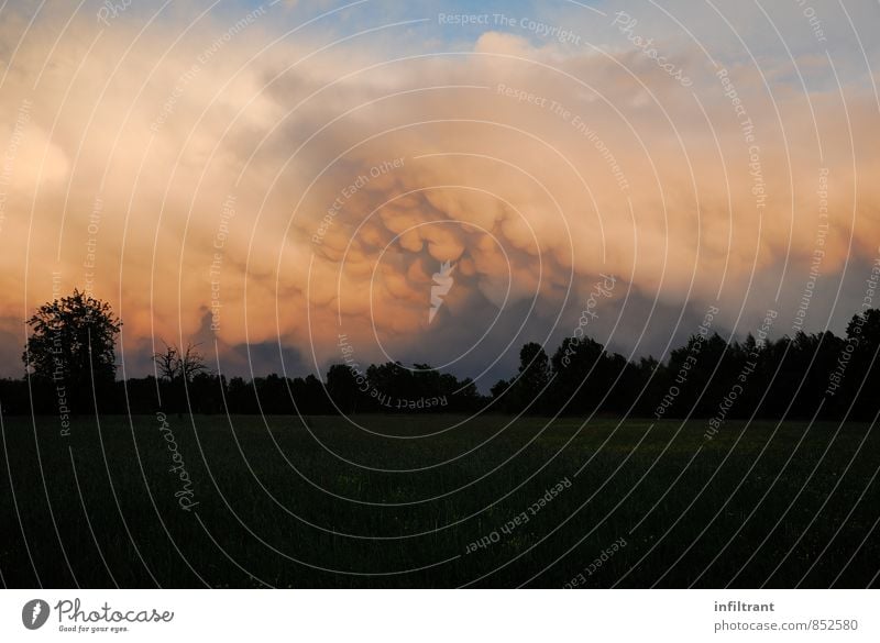 Mammatus Wolken Umwelt Natur Himmel Wetter schlechtes Wetter außergewöhnlich bedrohlich natürlich orange schwarz Endzeitstimmung Farbfoto Außenaufnahme