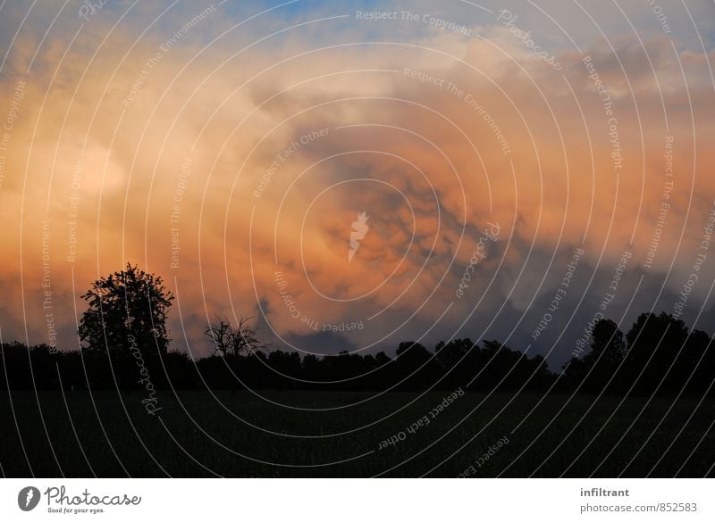 Mammatus Wolken Umwelt Natur Himmel schlechtes Wetter außergewöhnlich bedrohlich dunkel orange schwarz demütig träumen Angst Endzeitstimmung Klima Umweltschutz