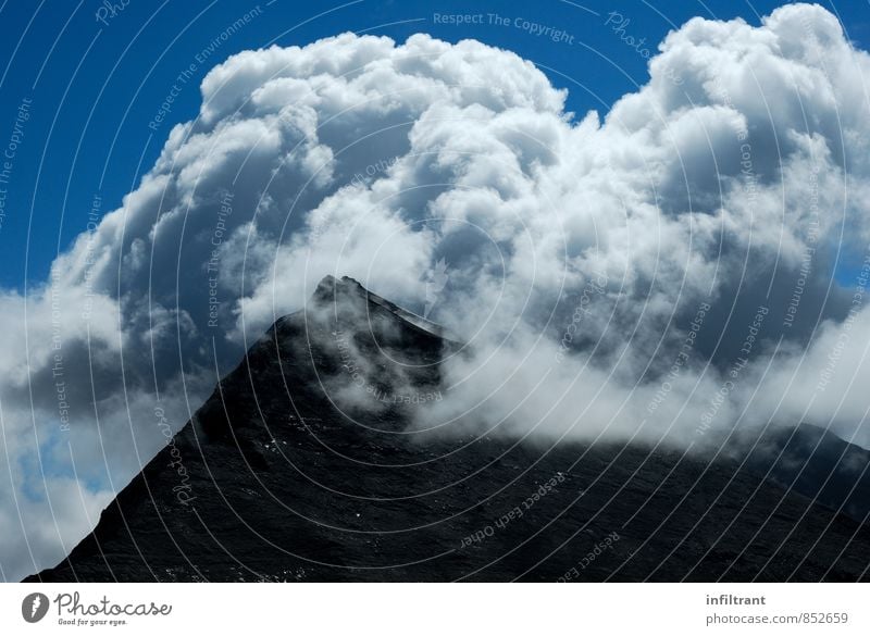 Gipfel in Wolken Berge u. Gebirge wandern Himmel Alpen blau schwarz weiß Abenteuer Freiheit Umwelt Farbfoto Außenaufnahme Menschenleer Textfreiraum unten Tag